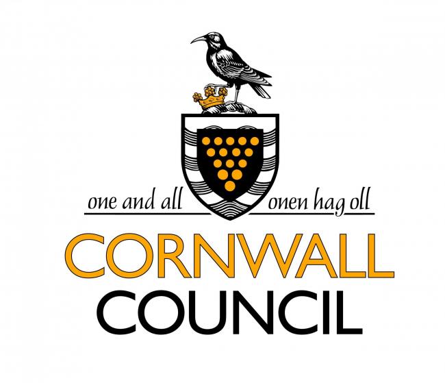 Penryn councillors press on with library devolution following £40,000 maintenance bill report